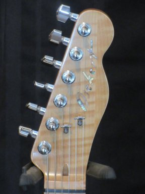 #Custom Tele #Macassar Ebony #Electric Guitar  #Hand made